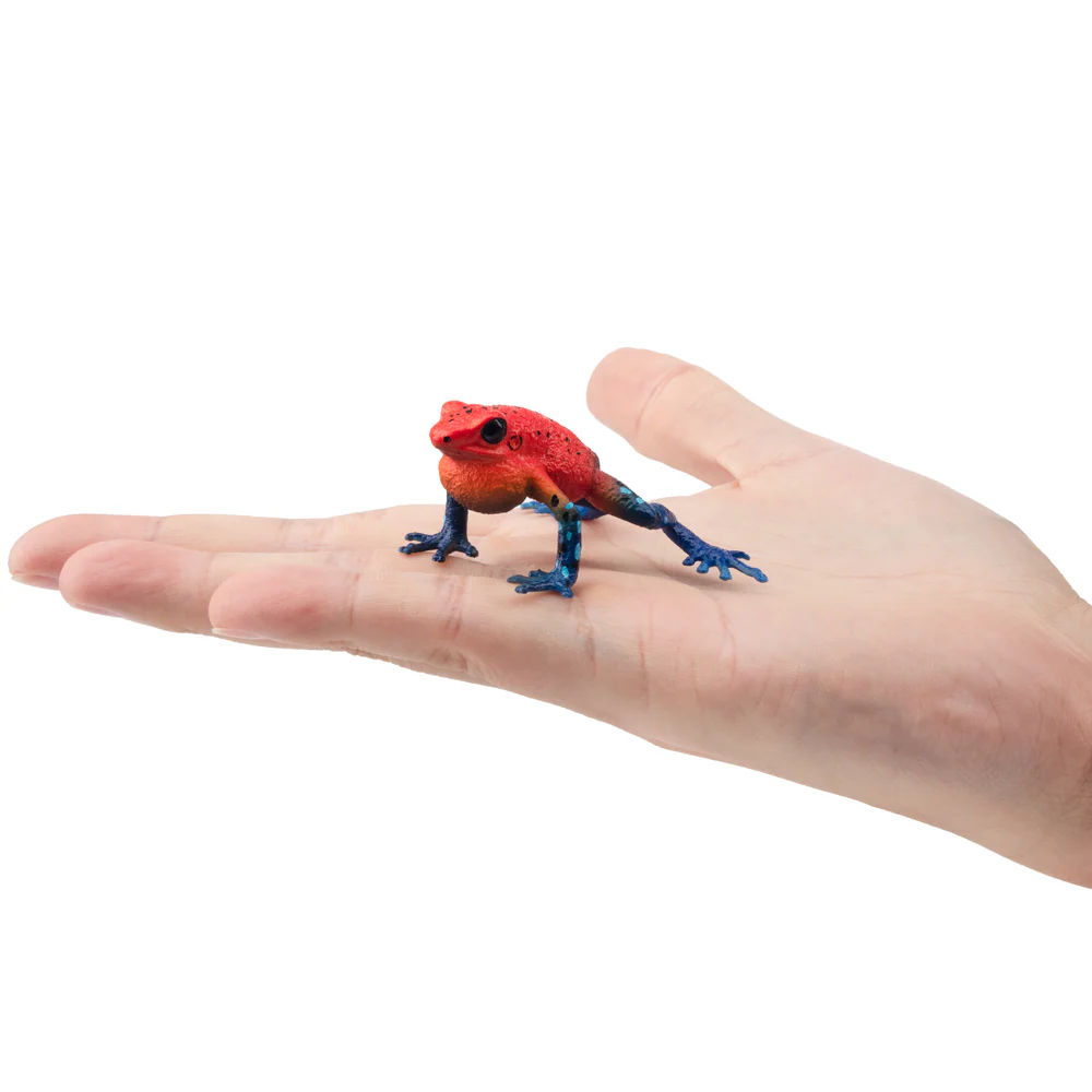 Toymany محاكاة الفراولة الضفدع - مراجعة Kids Toys Under $5 وسعره