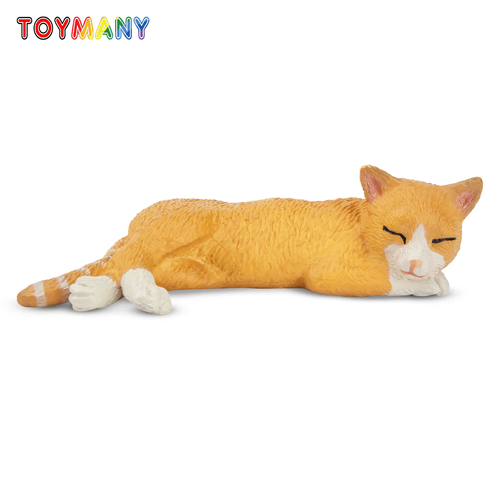 Toymany محاكاة الكذب البرتقال  - مراجعة Kids Toys Under $5 وسعره